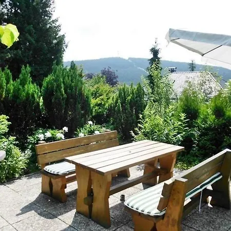 Premium-ferienwohnung Mit Balkon Und Bergblick Apartment *